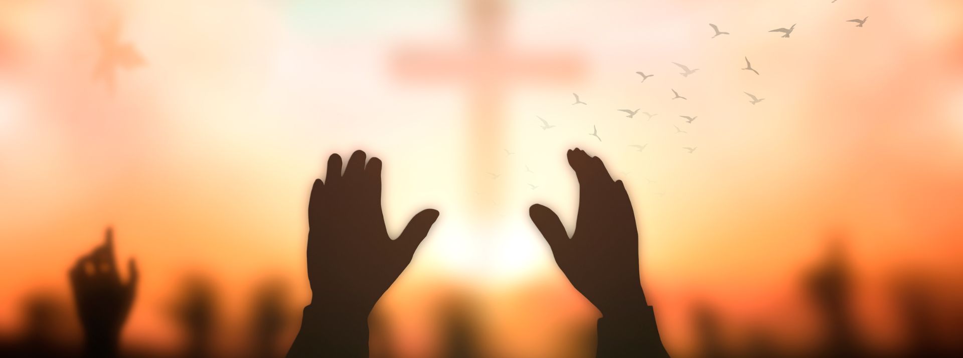 SEGUIDOR DA PALAVRA O caminho do Cristo pode ser para alguns só um calvário