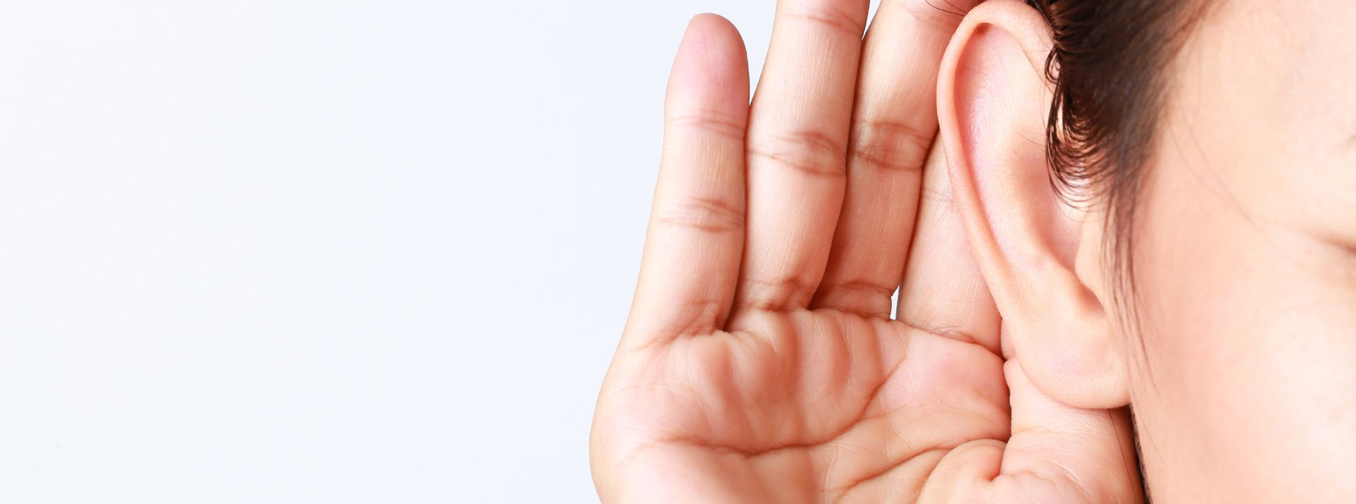 tommasso-miolo-do-site715(1)